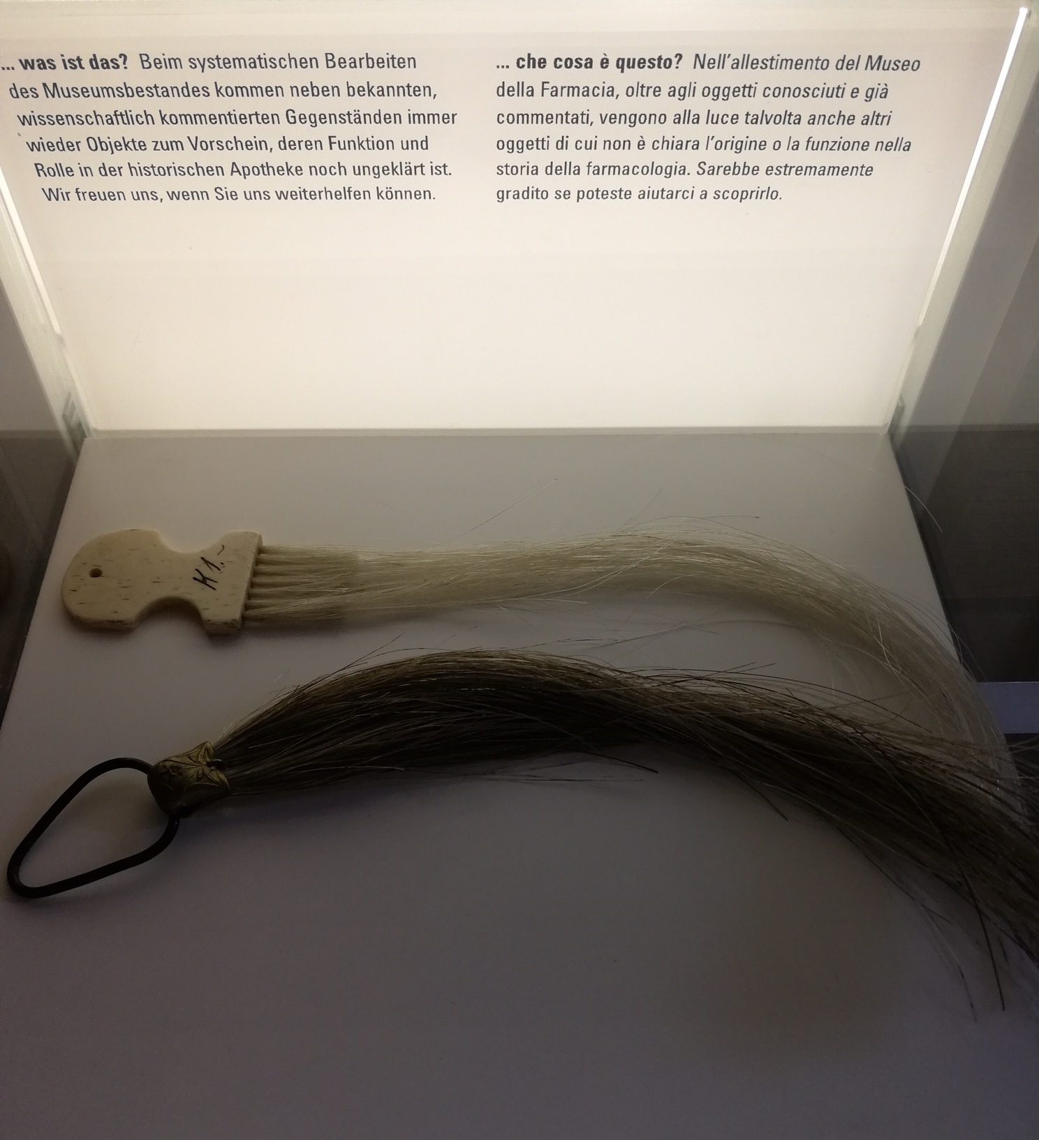 Pharmaziemuseum - Museo della farmacia - 6.JPG